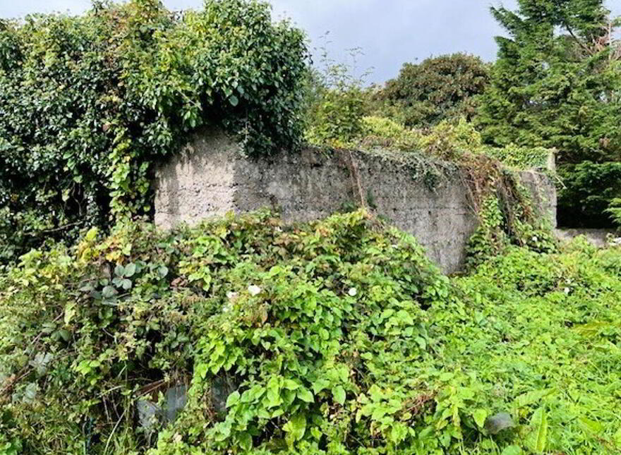 Liscosker, Kilkelly