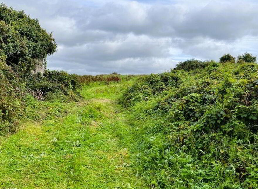 Liscosker, Kilkelly
