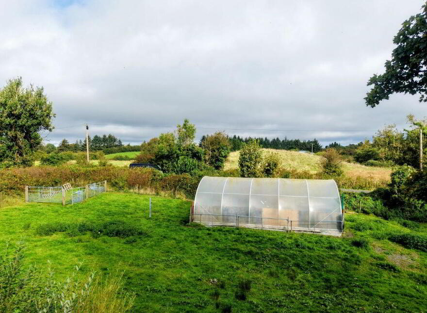An Neidin, Carrowbeg, Kilkelly, F35T652