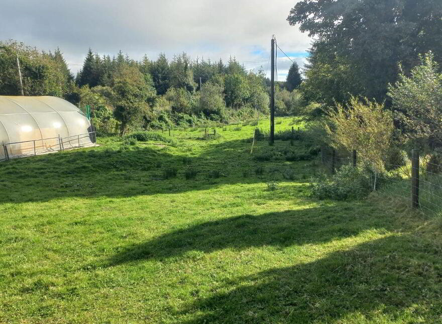 An Neidin, Carrowbeg, Kilkelly, F35T652