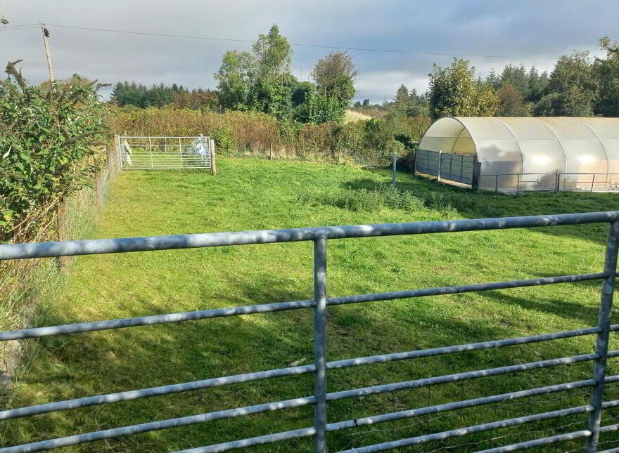 An Neidin, Carrowbeg, Kilkelly, F35T652