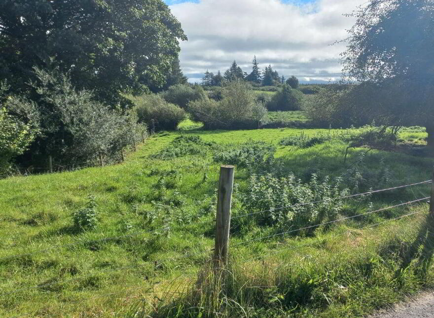 An Neidin, Carrowbeg, Kilkelly, F35T652