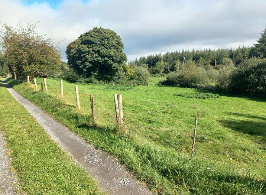 An Neidin, Carrowbeg, Kilkelly, F35T652