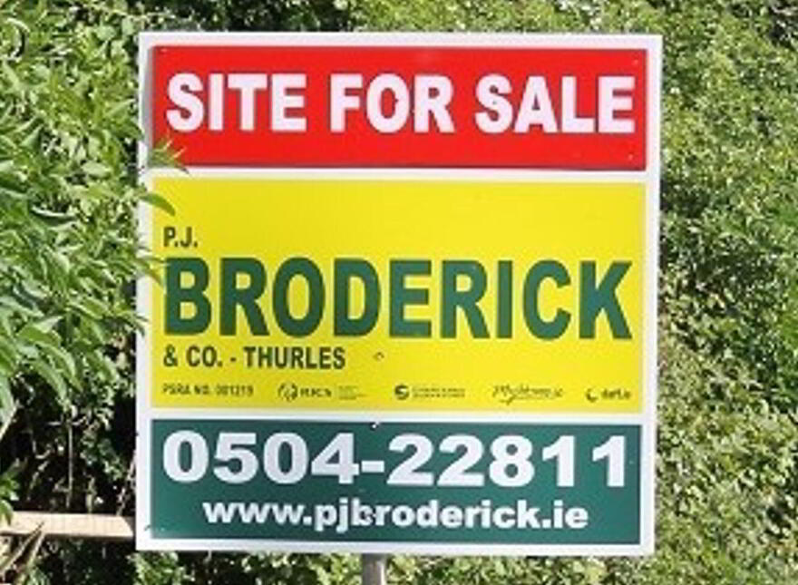 Drumtarsna, Borrisoleigh photo