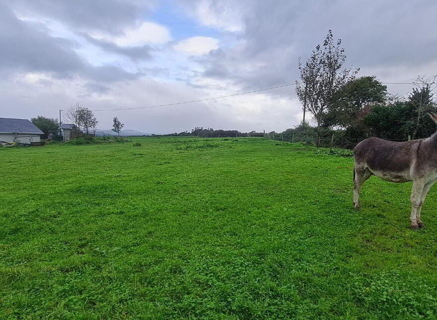 Corbally, Killorglin