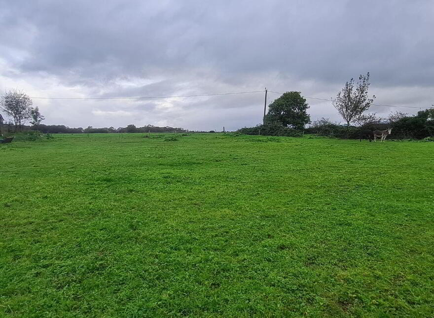 Corbally, Killorglin
