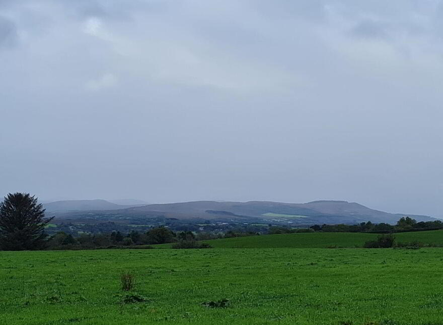Corbally, Killorglin