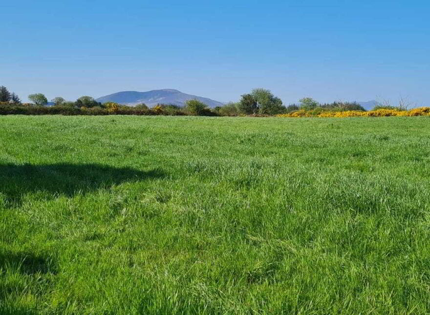 Upper Tullig Beg, Killorglin photo