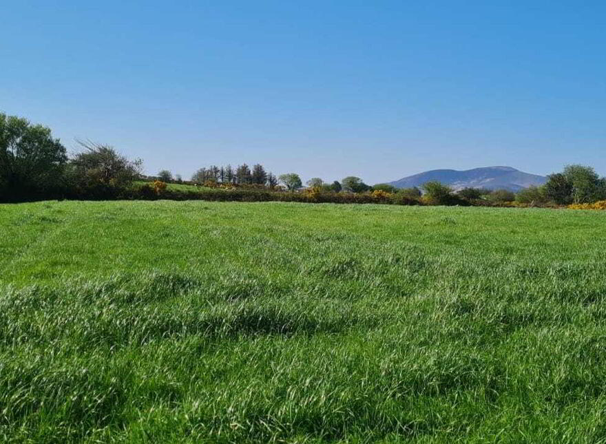 Upper Tullig Beg, Killorglin