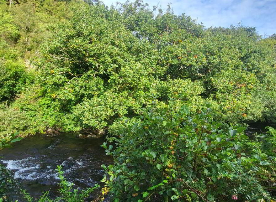 1 The Hideaway, Glenbeigh, V93NT95