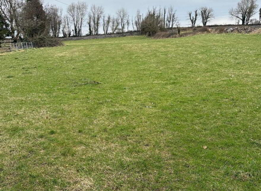 Cahermacanally, Ower, Greenfield, H91AX60