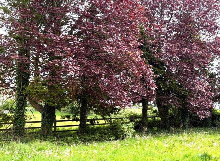 Cahermacanally, Ower, Greenfield, H91AX60