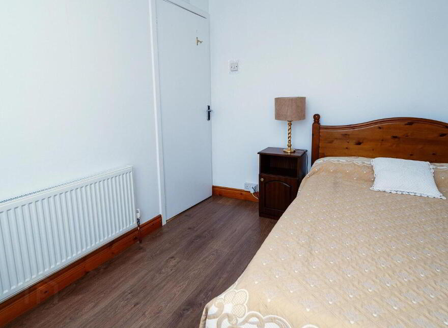 Main Street, Banagher, R42XW29