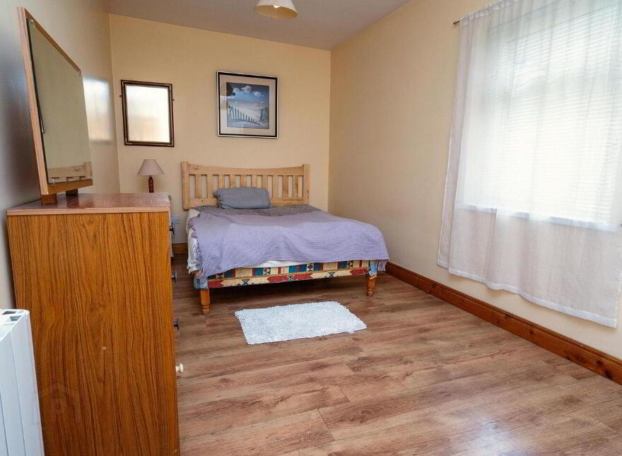 Main Street, Banagher, R42XW29