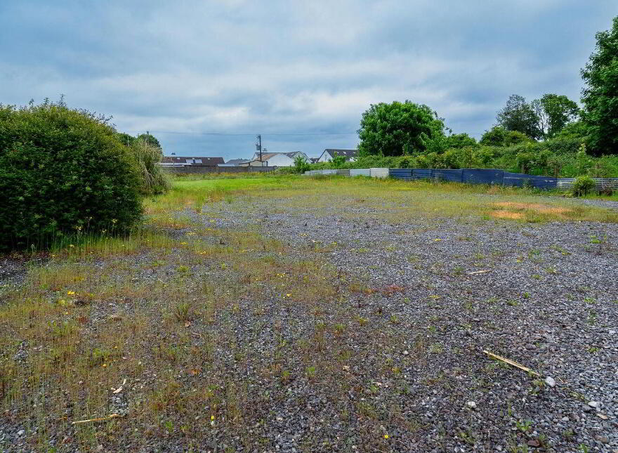 Main Street, Banagher, R42XW29