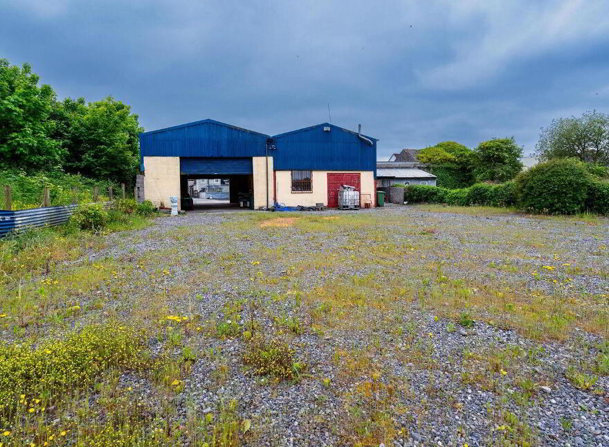 Main Street, Banagher, R42XW29