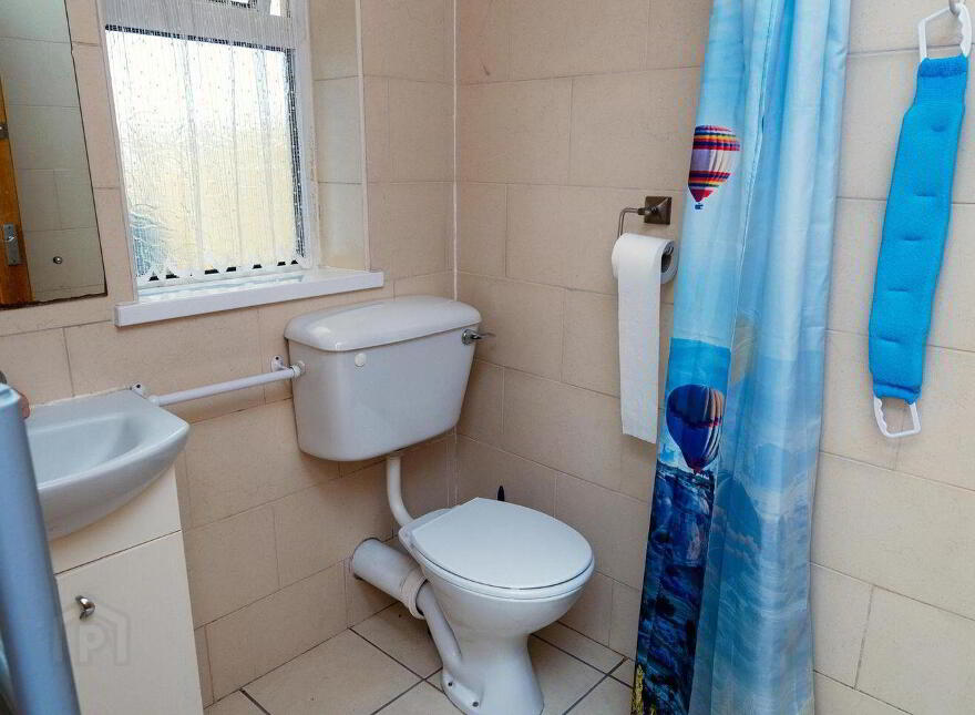 Main Street, Banagher, R42XW29