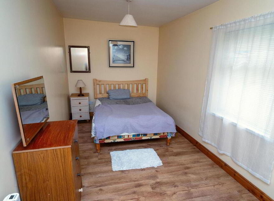 Main Street, Banagher, R42XW29