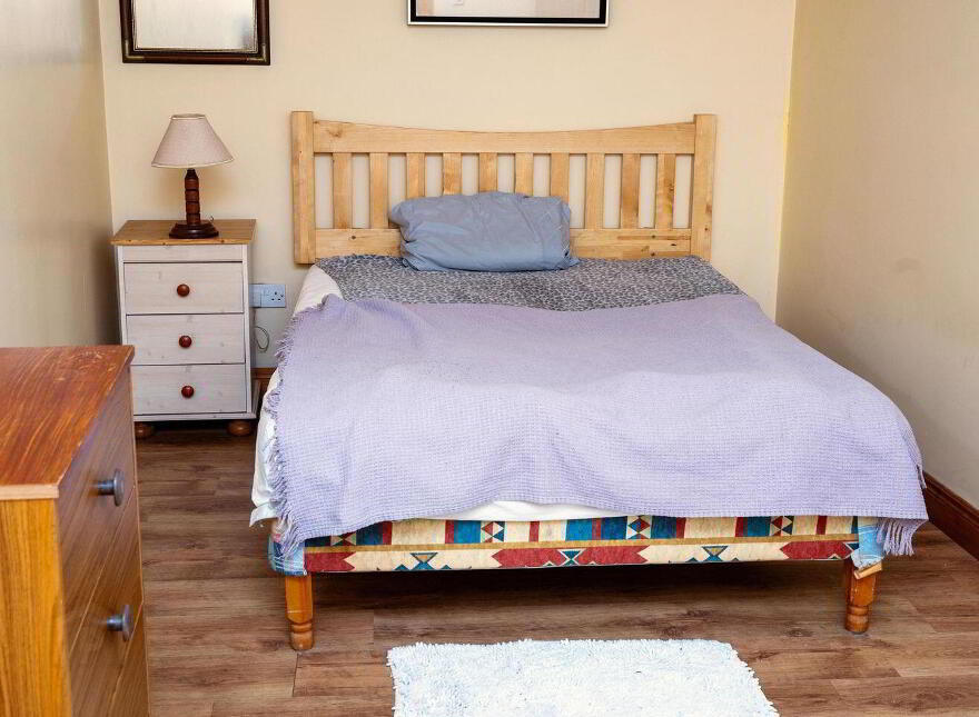 Main Street, Banagher, R42XW29