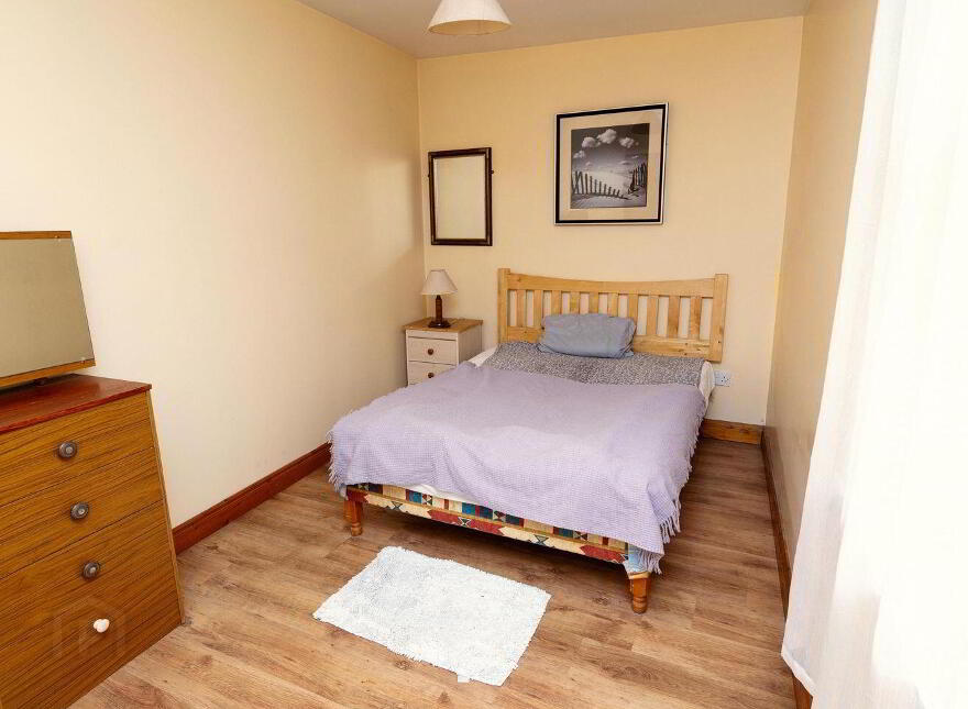Main Street, Banagher, R42XW29