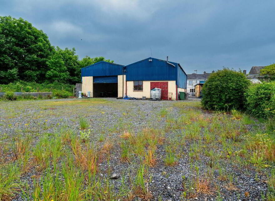 Main Street, Banagher, R42XW29