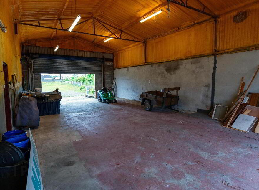 Main Street, Banagher, R42XW29