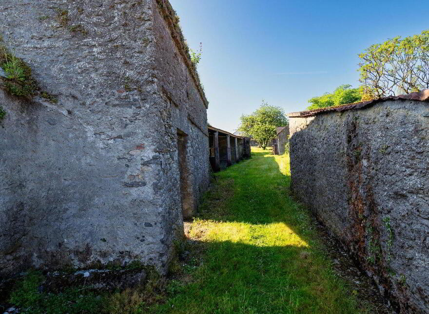 Main Street, Banagher, R42PH30