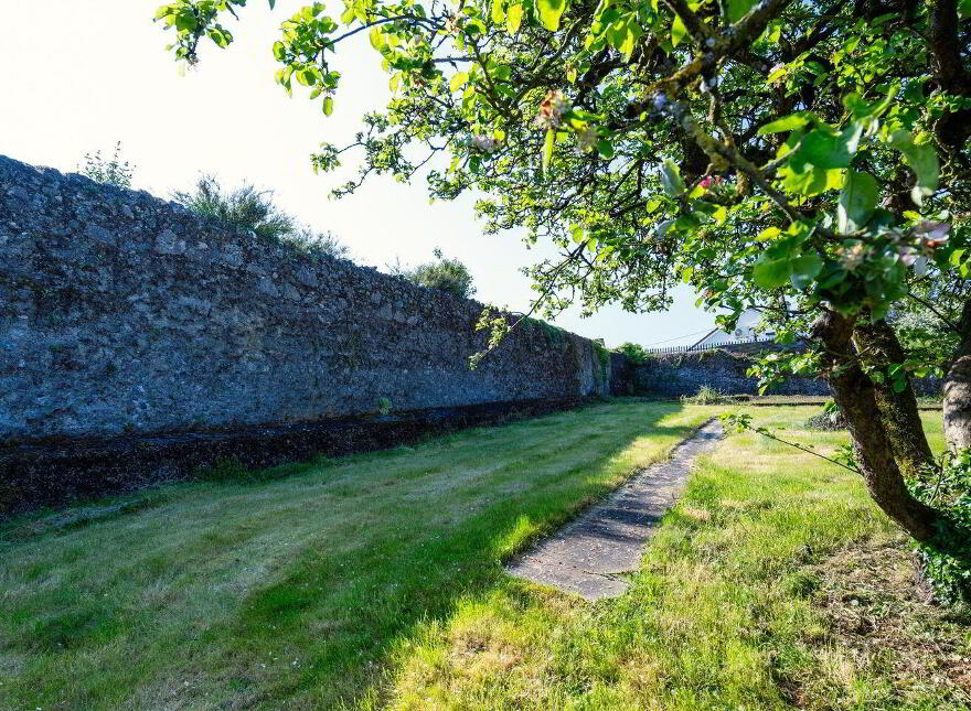Main Street, Banagher, R42PH30