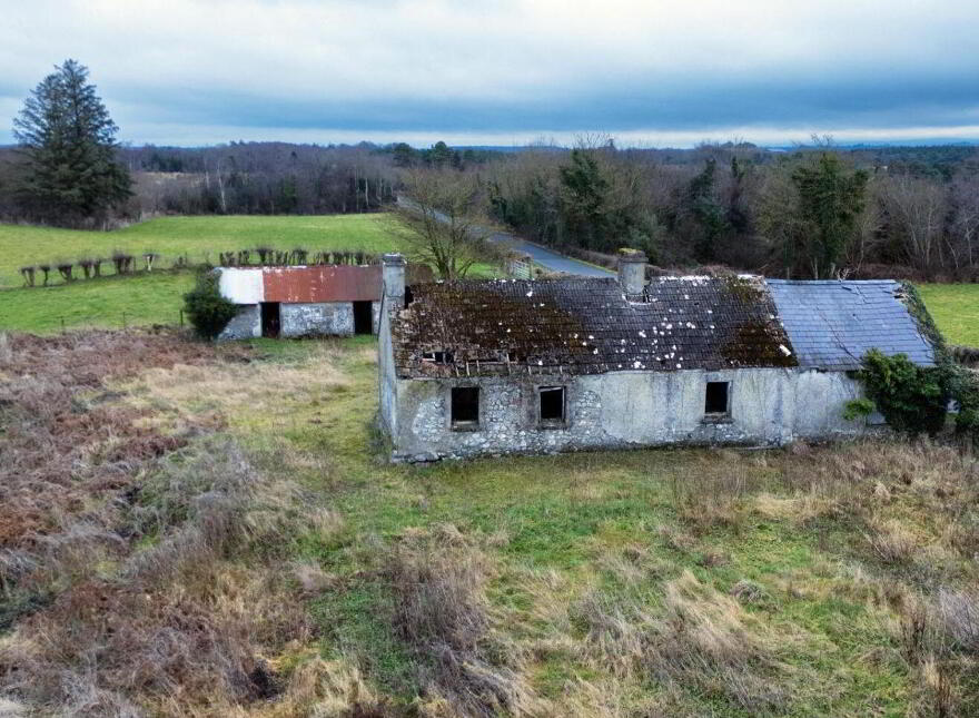 Bogaderries, Birr, R42VX88