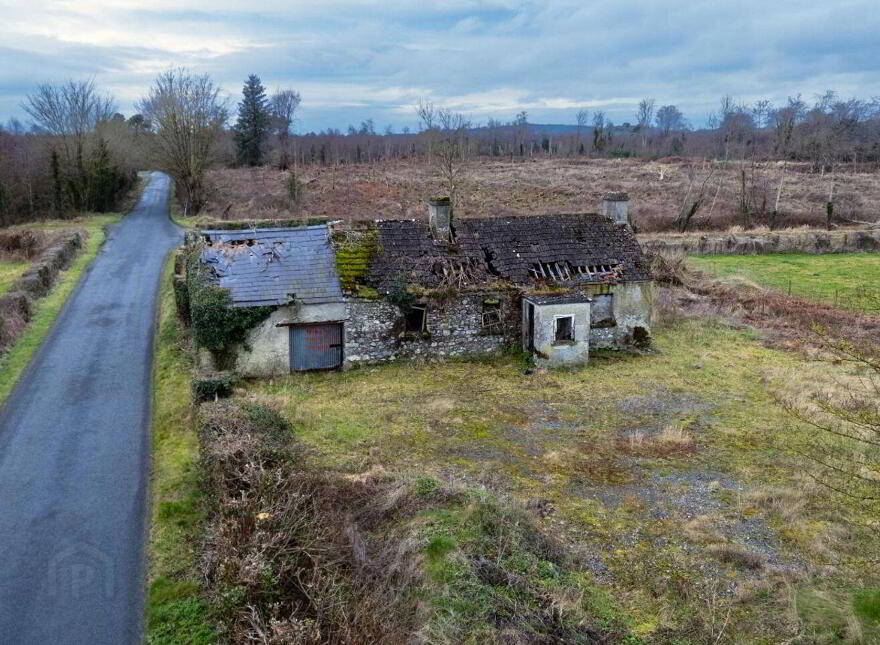 Bogaderries, Birr, R42VX88