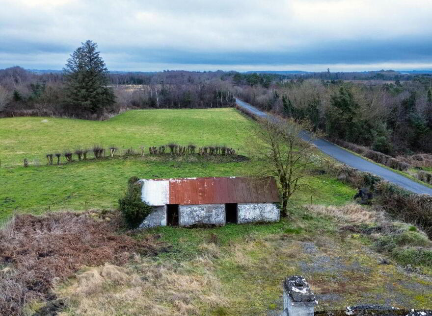 Bogaderries, Birr, R42VX88