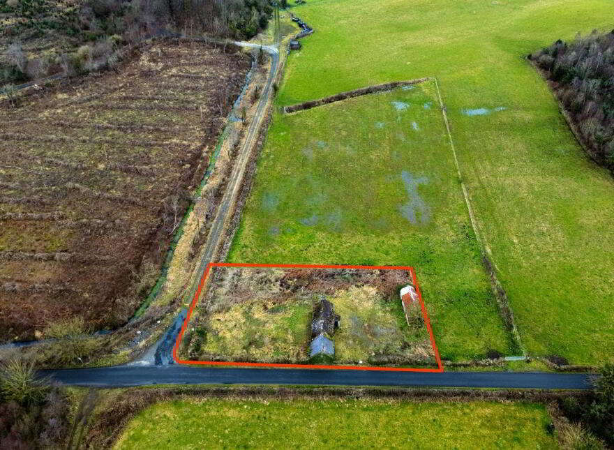Bogaderries, Birr, R42VX88
