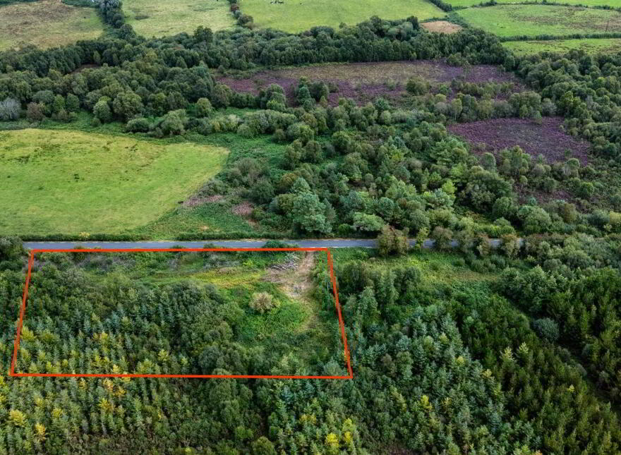 Derryesker, Rahan
