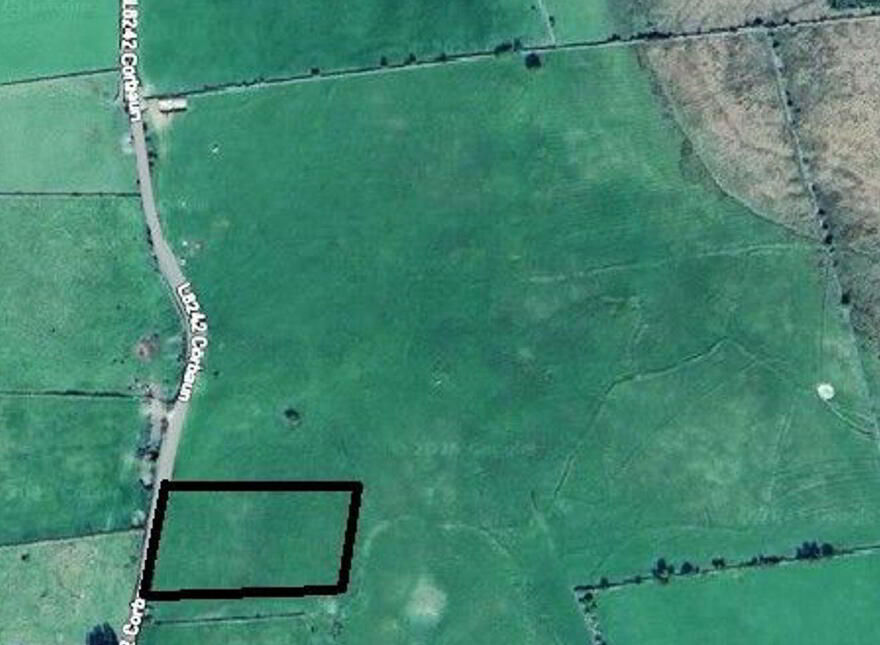 Corbaun, Loughrea