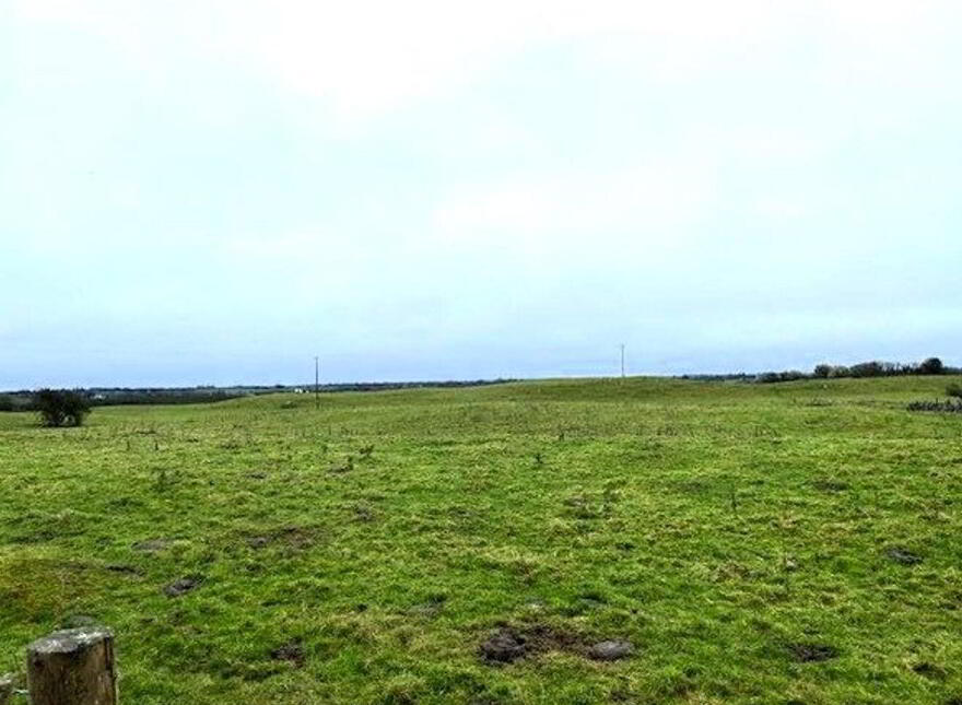Corbaun, Loughrea