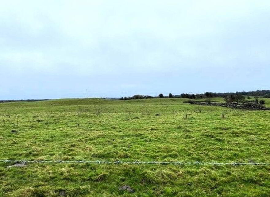 Corbaun, Loughrea