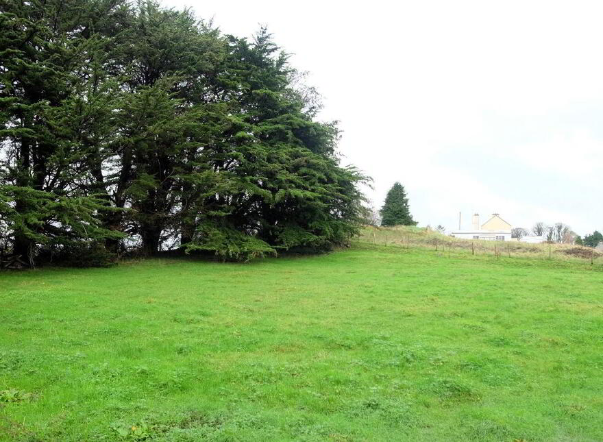 Cartron, New Inn, Ballinasloe, H53EE92