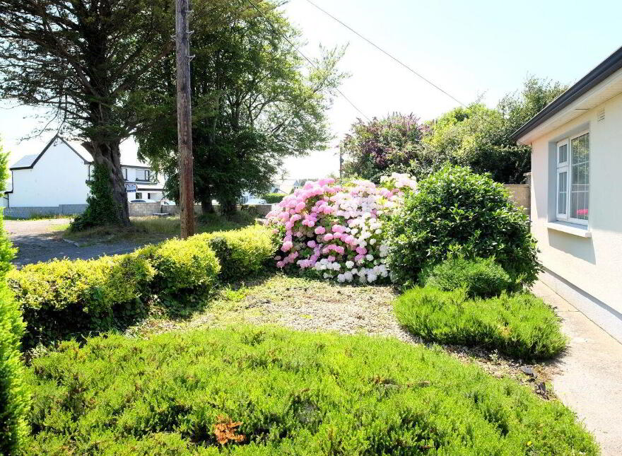 Cosmona, Loughrea, H62YF20