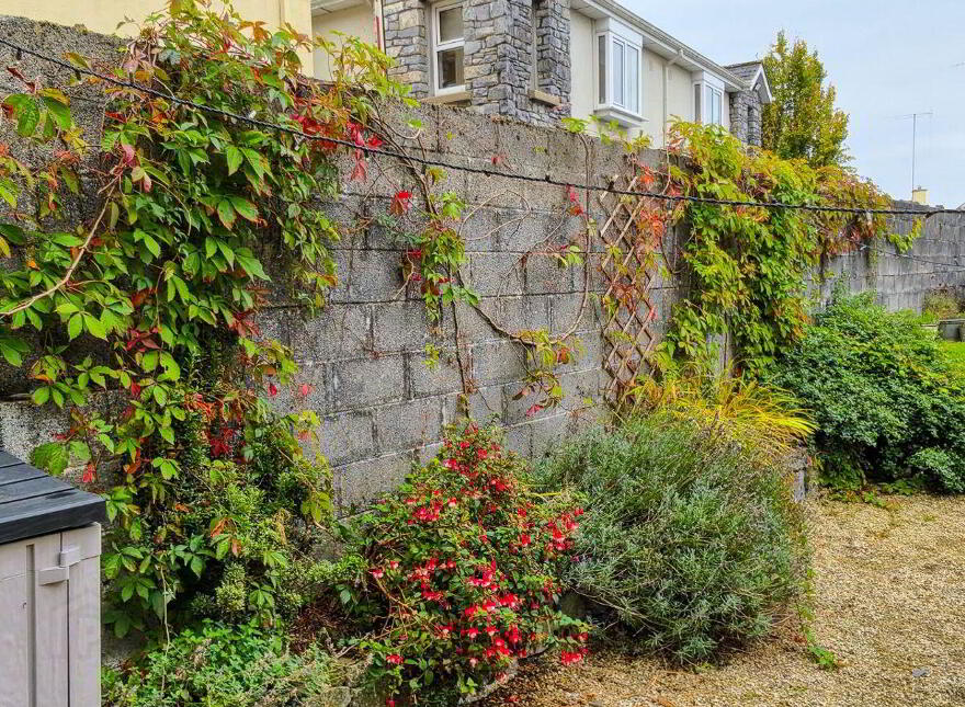 Abbey Street, Roscommon Town, F42W283