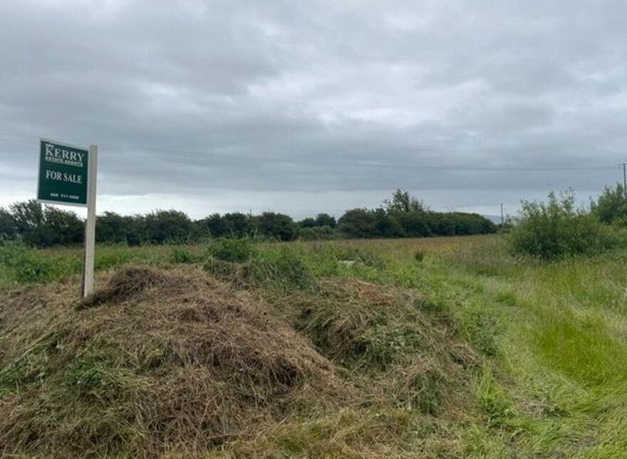 Rahela, Ballyduff
