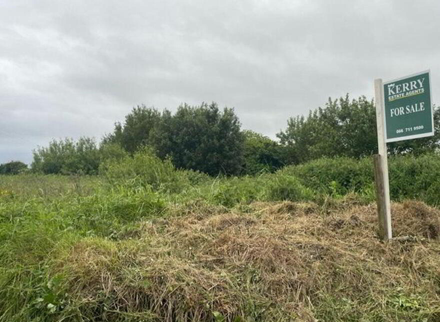 Rahela, Ballyduff