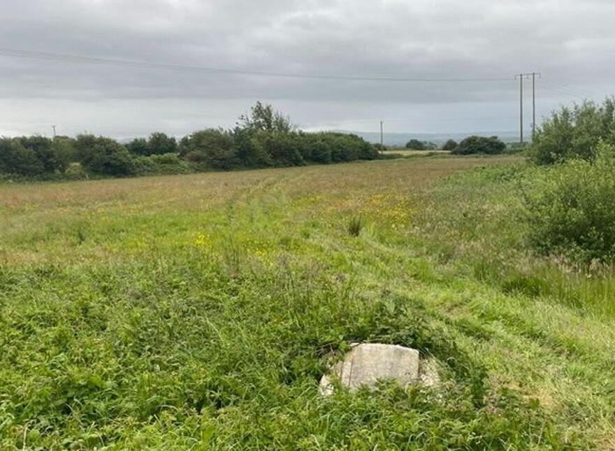 Rahela, Ballyduff