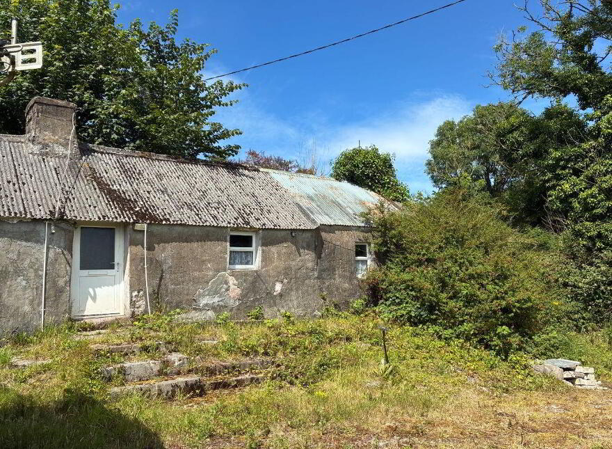 Ballyarthur, Mitchelstown, P67WD62