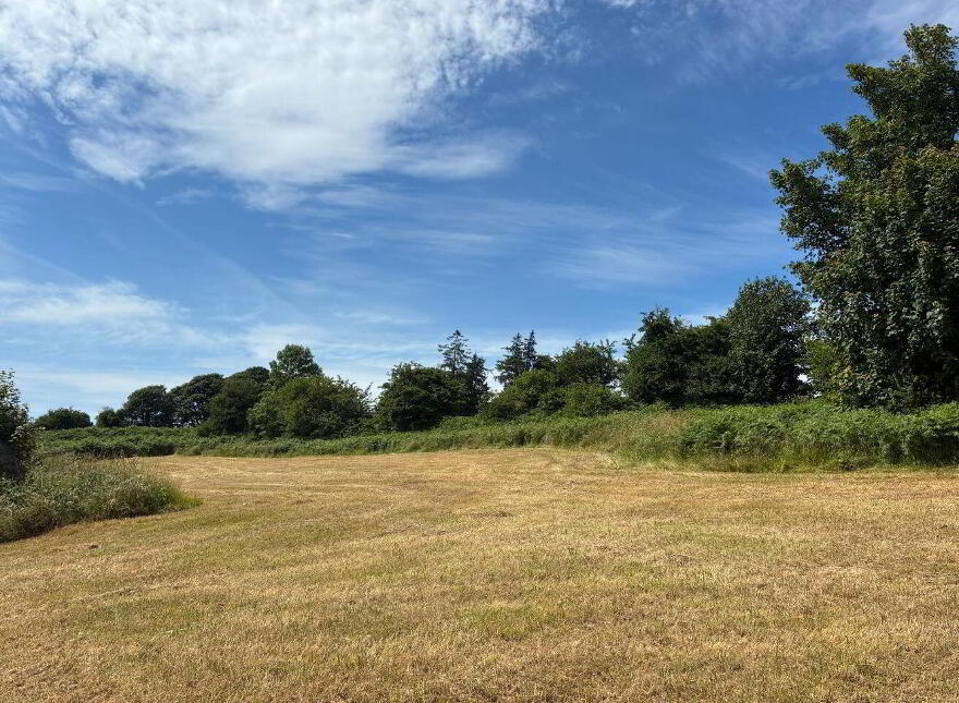 Ballyarthur, Mitchelstown, P67WD62