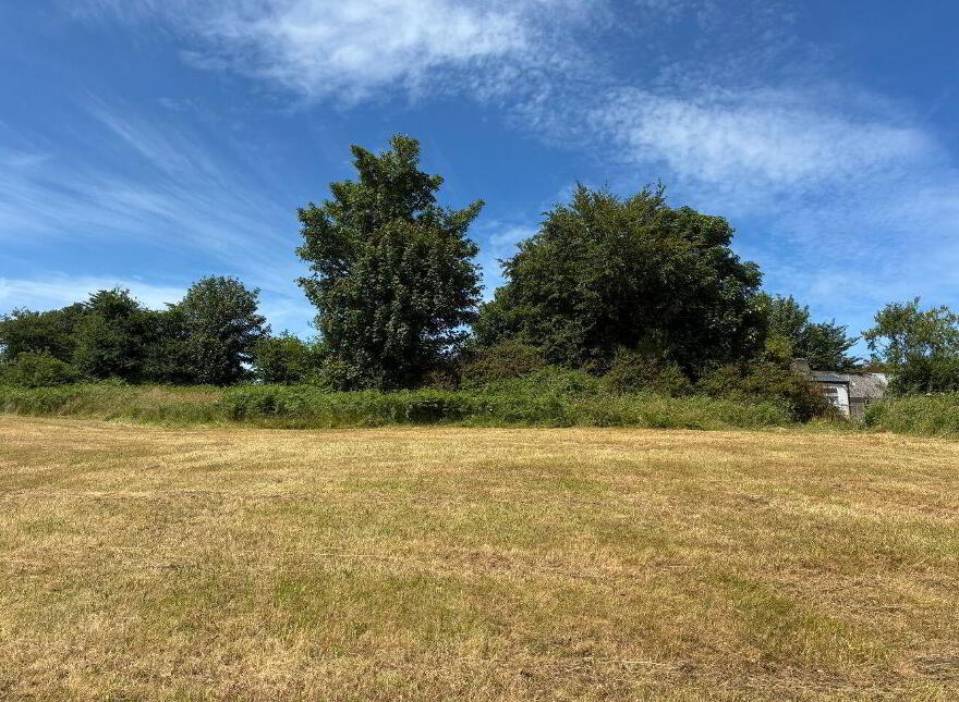 Ballyarthur, Mitchelstown, P67WD62