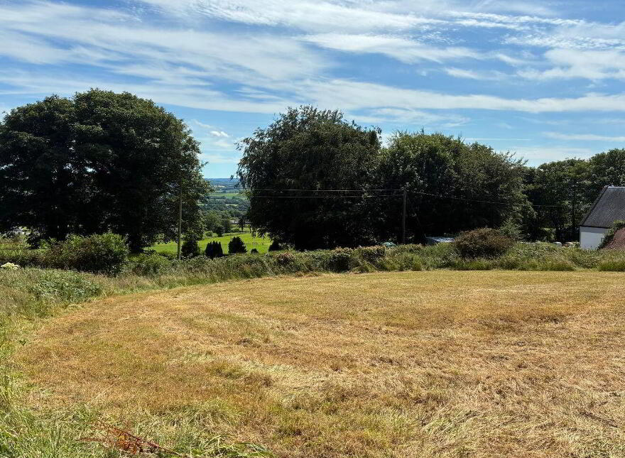 Ballyarthur, Mitchelstown, P67WD62
