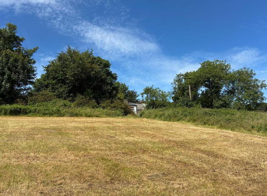 Ballyarthur, Mitchelstown, P67WD62