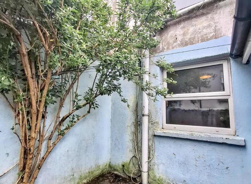 13 Saint Nessan Street, Cork City Centre, Cork City Centre, T12Y6PK