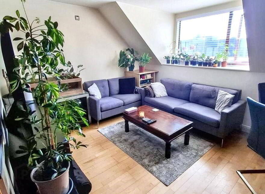 19 Saint Patricks Place, St. Lukes, T23VX07