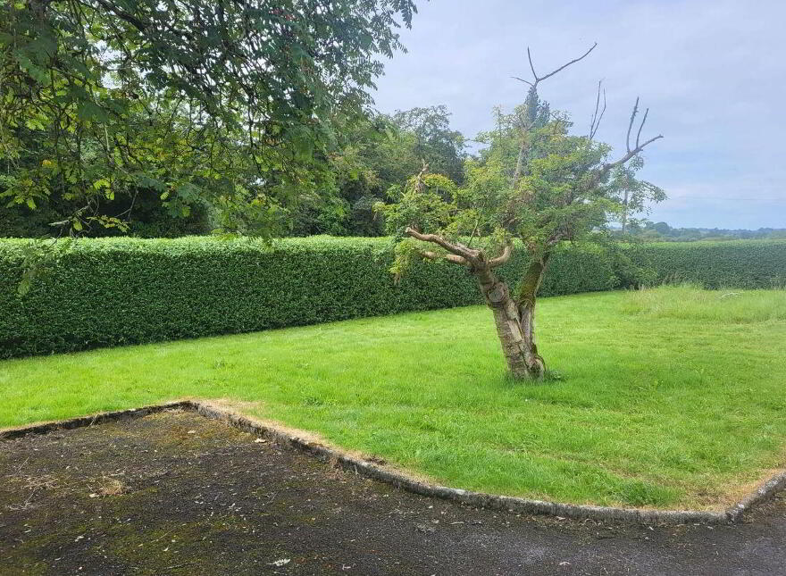 Grange, Kilmallock, Grange, V35WK74
